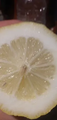 This live wallpaper showcases a detailed image of a hand holding a sliced lemon