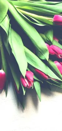 This beautiful phone live wallpaper features a bunch of pink tulips set against a white surface