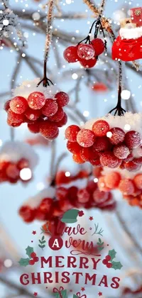 This live phone wallpaper boasts a close-up of berries on a tree set against a snowy background
