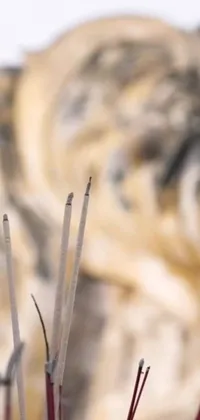 Transform your phone screen with this stunning live wallpaper depicting a bunch of sticks protruding from a vase