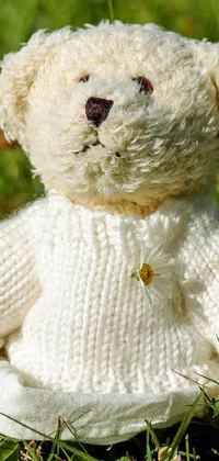 Make your phone screen come to life with this adorable teddy bear live wallpaper