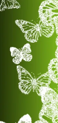 This stunning live wallpaper features a beautiful bunch of fluttering butterflies set against a green stipple background on a white gradient