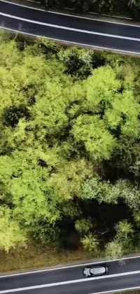 This stunning phone live wallpaper offers an aerial view of a road surrounded by trees, bringing nature's beauty to your device's screen