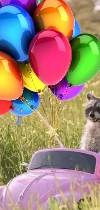 This live wallpaper for phones depicts a whimsical and unique scene featuring a playful raccoon sitting in a toy car floating in the air with a cluster of balloons