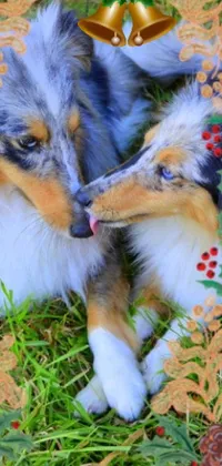 This phone live wallpaper features two playful dogs lounging atop a lush green field