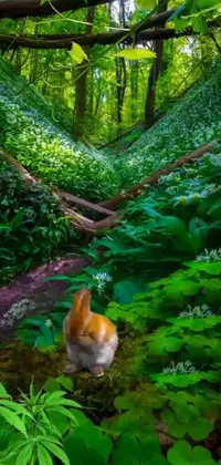 This phone live wallpaper features a serene cat sitting amidst lush green forest