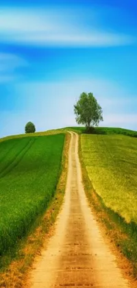 Add a touch of nature to your phone with this charming live wallpaper! Featuring a dirt road in the middle of a green field, the image captures the beauty of the great outdoors with a whimsical and vibrant naive art style