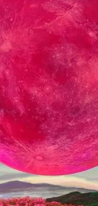 This phone live wallpaper showcases a stunning pink moon rising over a field of pink flowers, made to resemble cotton candy