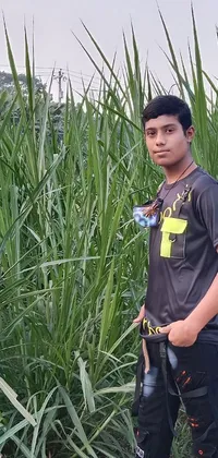 This live wallpaper showcases a picturesque field of tall grass on a warm summer day