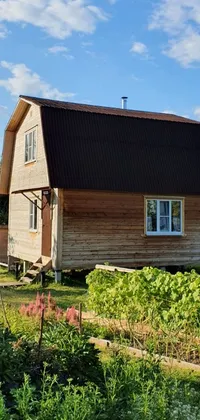 This phone live wallpaper showcases a charming wooden house set on a lush green field in Russia