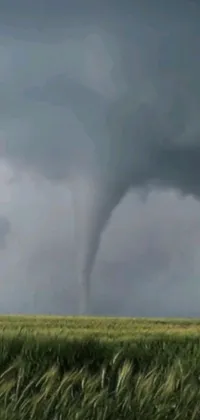 This live wallpaper showcases the power and ferocity of a tornado, set against a barren field