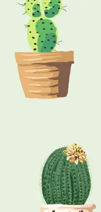 This phone live wallpaper showcases a simple yet striking digital painting of two potted plants, a cactus and a flower, sitting on top of each other