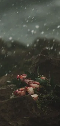 This phone live wallpaper showcases a stunning bunch of flowers, including roses, arranged on a rock amidst a snowstorm