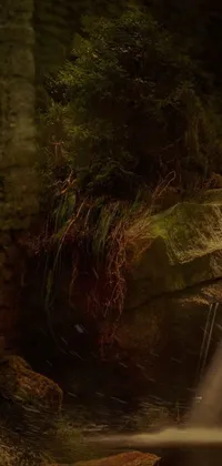 This breathtaking live wallpaper depicts a lush green forest with a majestic waterfall flowing through it