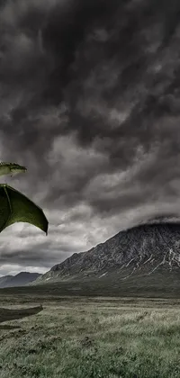 This striking live phone wallpaper features a magnificent dragon soaring over a lush green field under ominous storm clouds