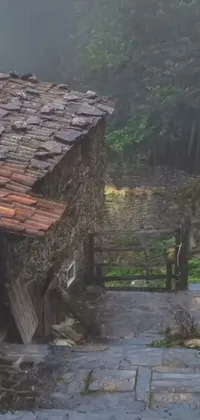 Looking for a phone live wallpaper that exudes the charm and tranquility of a quaint village setting? Look no further than this mesmerizing wallpaper by Xavier Blum Pinto