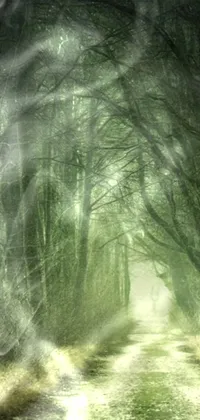 Get lost in this haunting live wallpaper featuring a dusty dirt road cutting through a dense forest, surrounded by mysterious green spirits