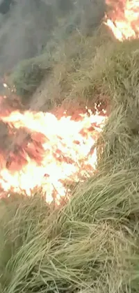 Bring the warm and captivating ambiance of a mesmerizing fire burning in a field of grass to your phone with this live wallpaper