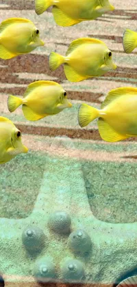 This live wallpaper showcases a group of yellow fish swimming in a tank against a dark blue background
