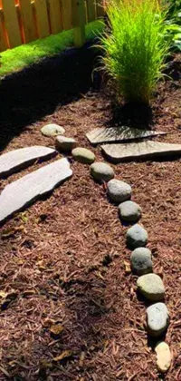This phone live wallpaper features a stone path in the center of a magical garden