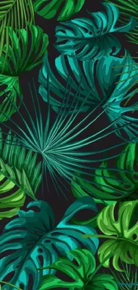 Plant Grass Leaf Live Wallpaper
