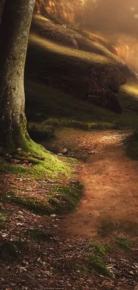 This phone live wallpaper showcases a mesmerizing digital art image of a forest path surrounded by lush greenery
