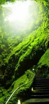 Get lost in a heavenly landscape with stunning green walls and lush vegetation with this phone live wallpaper