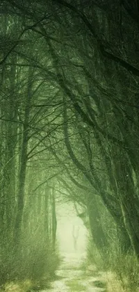Experience the thrill of a forest at twilight with this captivating live wallpaper