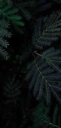 Looking for a live wallpaper that's visually stunning and unique? Check out this red fire hydrant set in a lush green forest with intricate, tropical leaves, black fir, ferns and vivid flowers