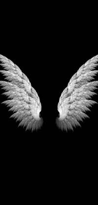 Looking for a striking live wallpaper for your phone that will captivate your senses? Check out this dazzling design portraying a pair of white angel wings symmetrically poised against a black background