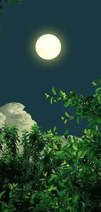 This enchanting live wallpaper depicts a serene, moonlit forest scene set against a sparkling river in the Kerala village
