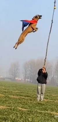 Enjoy the beauty of nature with this stunning live wallpaper featuring a playful dog enjoying a kite ride
