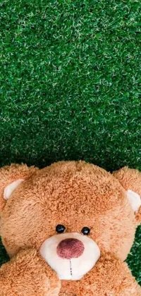 This phone live wallpaper features a realistic brown teddy bear sitting atop a lush green field with a blue sky and white clouds background
