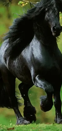 This live phone wallpaper showcases a digital rendering of a black horse running across a lush green field