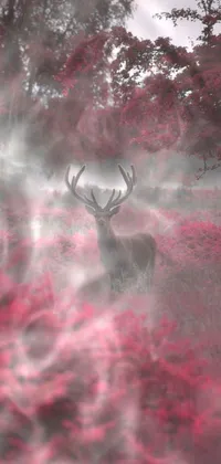 This phone wallpaper features a captivating image of a deer standing in a green grass field, surrounded by a pink and red floral environment