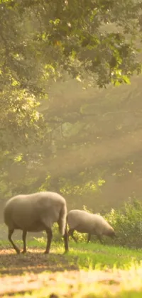 This phone live wallpaper features lifelike animals standing in the grass amidst a forest