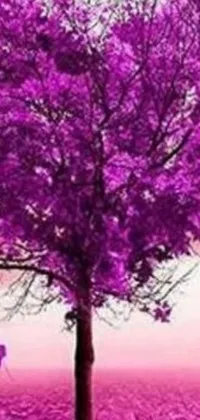 This phone live wallpaper showcases a stunning purple tree set against a vibrant field