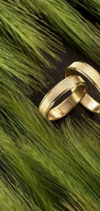 The Wedding Rings live wallpaper is a stunning addition to your phone's display