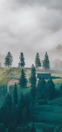 This phone live wallpaper depicts a herd of sheep on a green hill with a minimalistic misty house in a forest