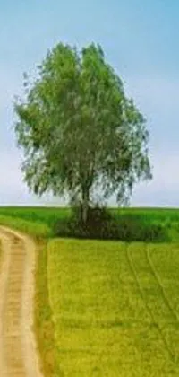 This mobile wallpaper displays a serene image of a lone tree standing on the side of a dirt road