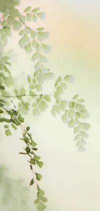 Plant Grass Tree Live Wallpaper