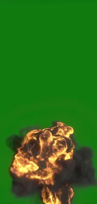 This phone live wallpaper showcases an explosion of multicolored smoke with vibrant green background
