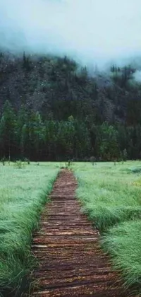 This live wallpaper features a wooden path in a green field, set against a soothing grey forest background