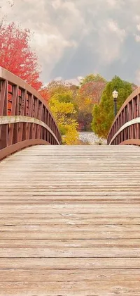 The wooden bridge live wallpaper depicts a serene landscape with a wooden bridge over a body of water, viewed from below