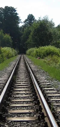 This phone live wallpaper showcases a realistic train track scene with trees in the background