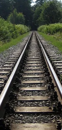 Looking for a stunning new wallpaper for your phone? Check out this amazing live wallpaper featuring a close up of a train track set against a beautiful natural background