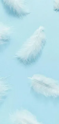 Get a stunning phone live wallpaper that features a bunch of white feathers laid over a light blue pastel background, creating a calming and soothing atmosphere