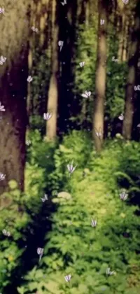 This live phone wallpaper features a forest full of colorful butterflies and magic in the air