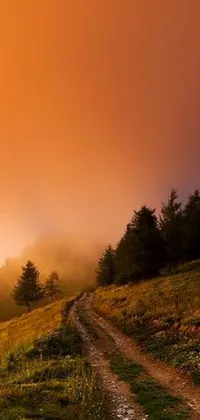 This phone live wallpaper showcases a serene dirt road in a lush green field surrounded by mystic orange fog
