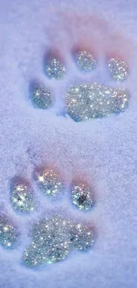 Looking for a unique and enchanting live wallpaper for your phone? Look no further than this stunning image featuring a close-up of a dog's paw prints in the snow